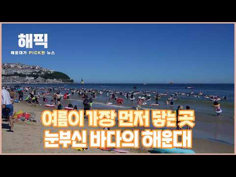 해운대가 픽(pick)한 뉴스, 해픽! 319회